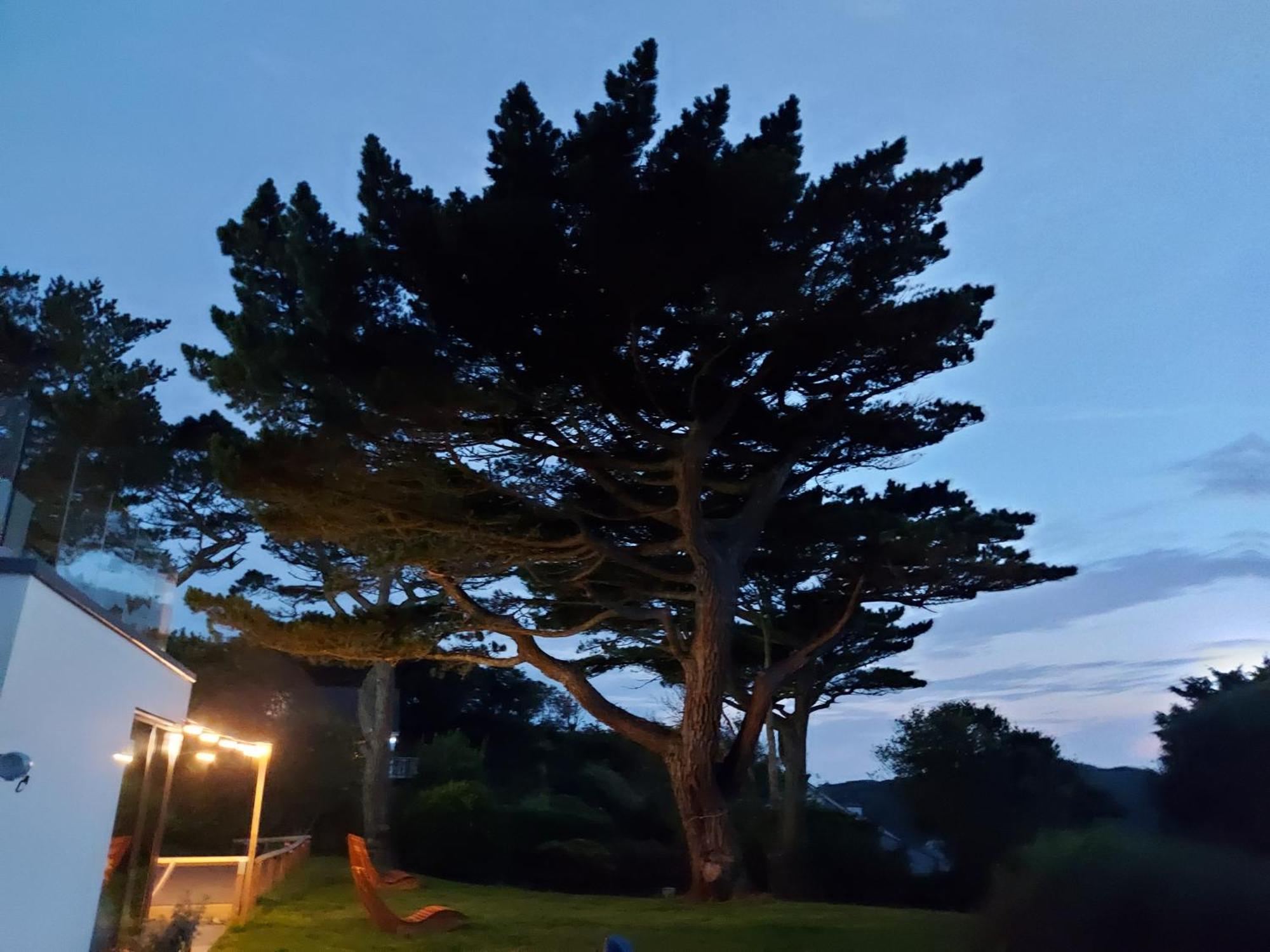 Flat 1 High Tide House, Mortehoe - Beautifully Designed Ground Floor Flat With Sea Views And Garden Esterno foto