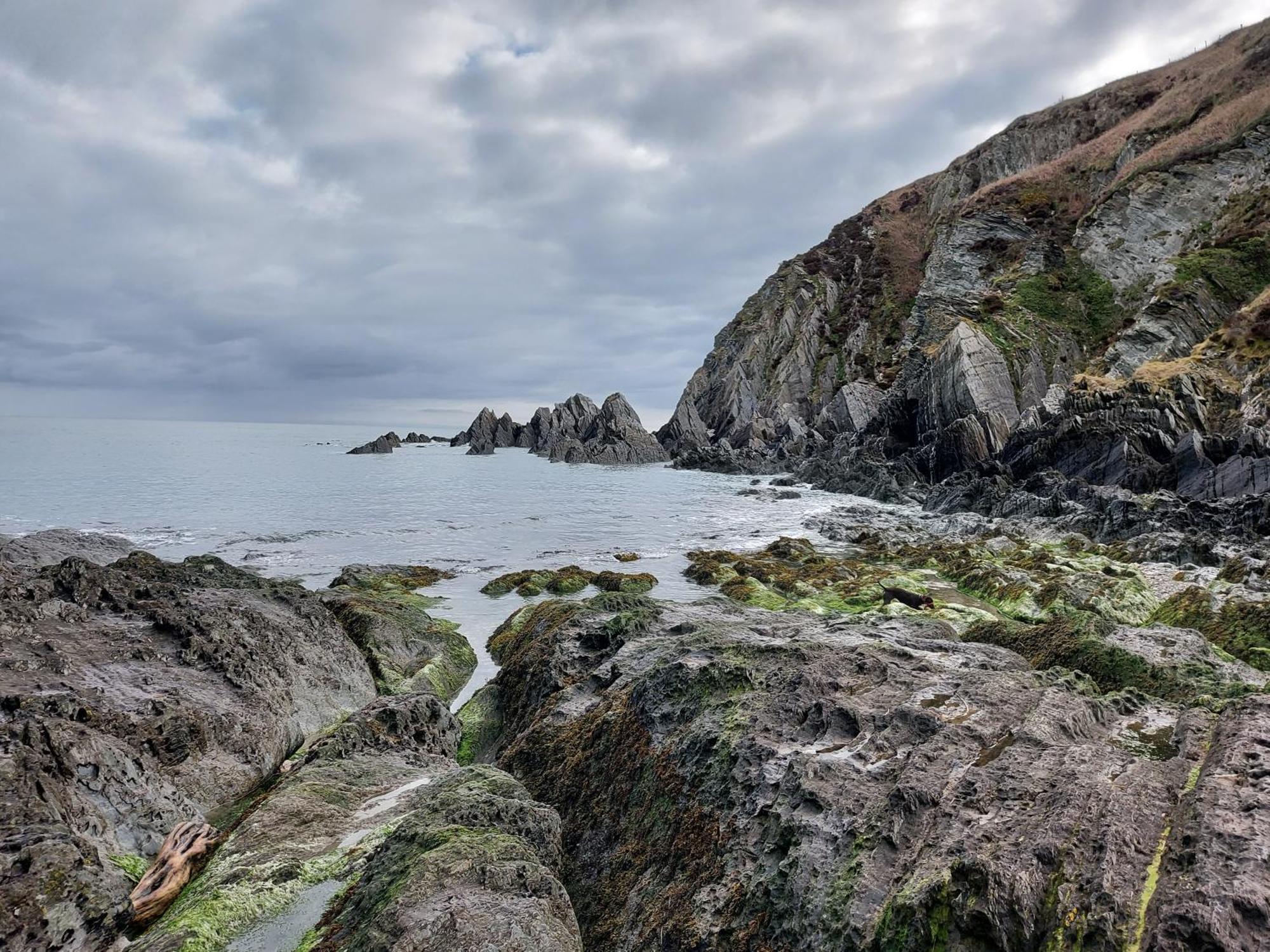 Flat 1 High Tide House, Mortehoe - Beautifully Designed Ground Floor Flat With Sea Views And Garden Esterno foto